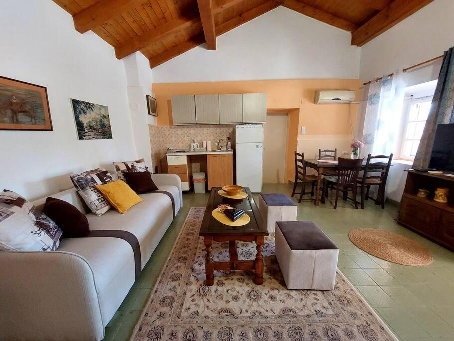 Apartman Boljevic Podgorica Eksteriør bilde